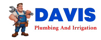 Trusted plumber in CARLINVILLE